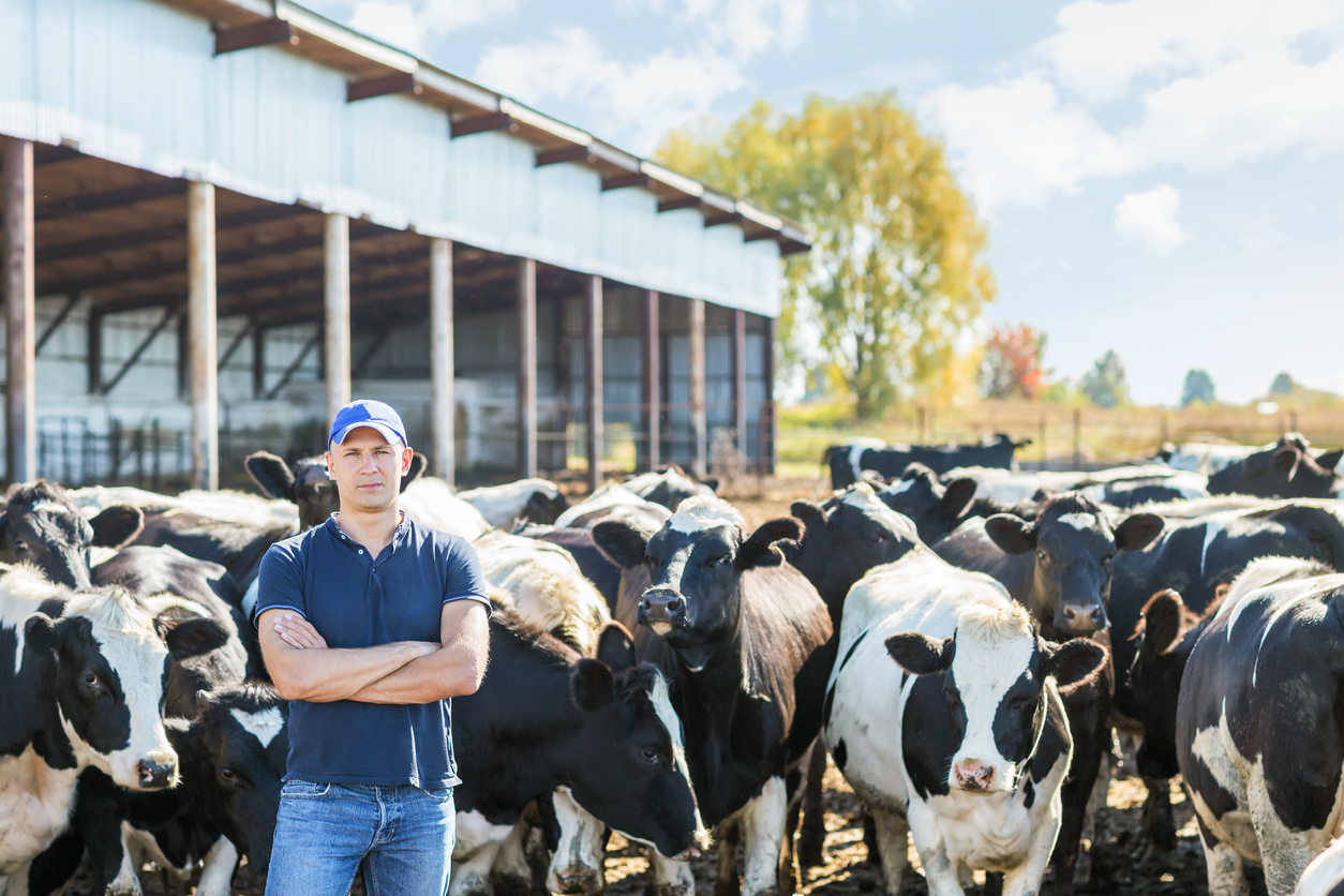 Queensland Dairy Farmer Facing Penalties For Underpayments